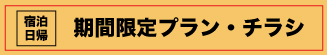 期間限定「春夏」チラシ