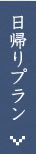 日帰りプラン